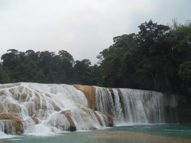 Naturaleza en estado puro
